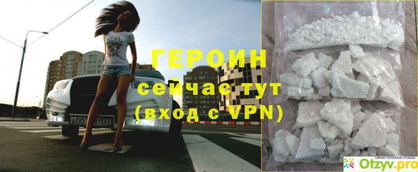 шишки Губаха