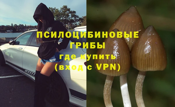 ALPHA-PVP Алексин